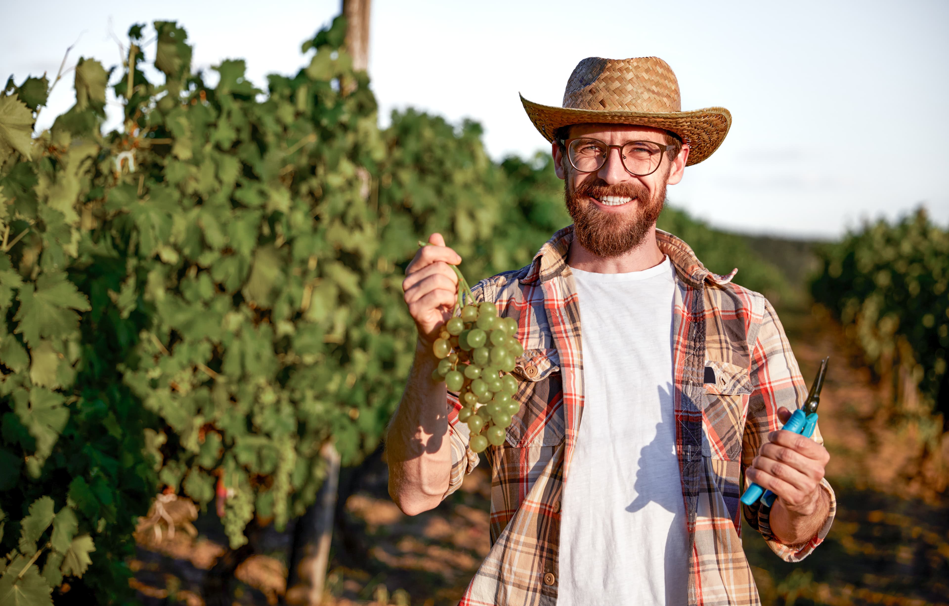 Durch Corporate Benefits Mitarbeiter halten und gewinnen, Weingärtner Cleebronn-Güglingen eG